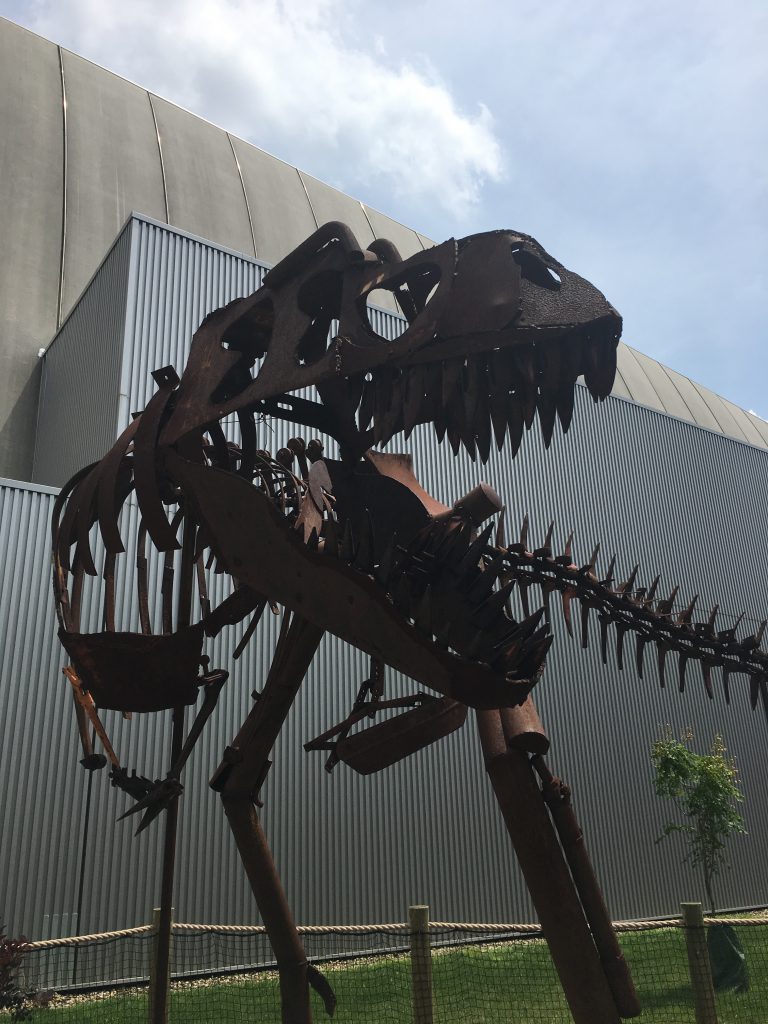 Museum EXP T-Rex History Exhibitions