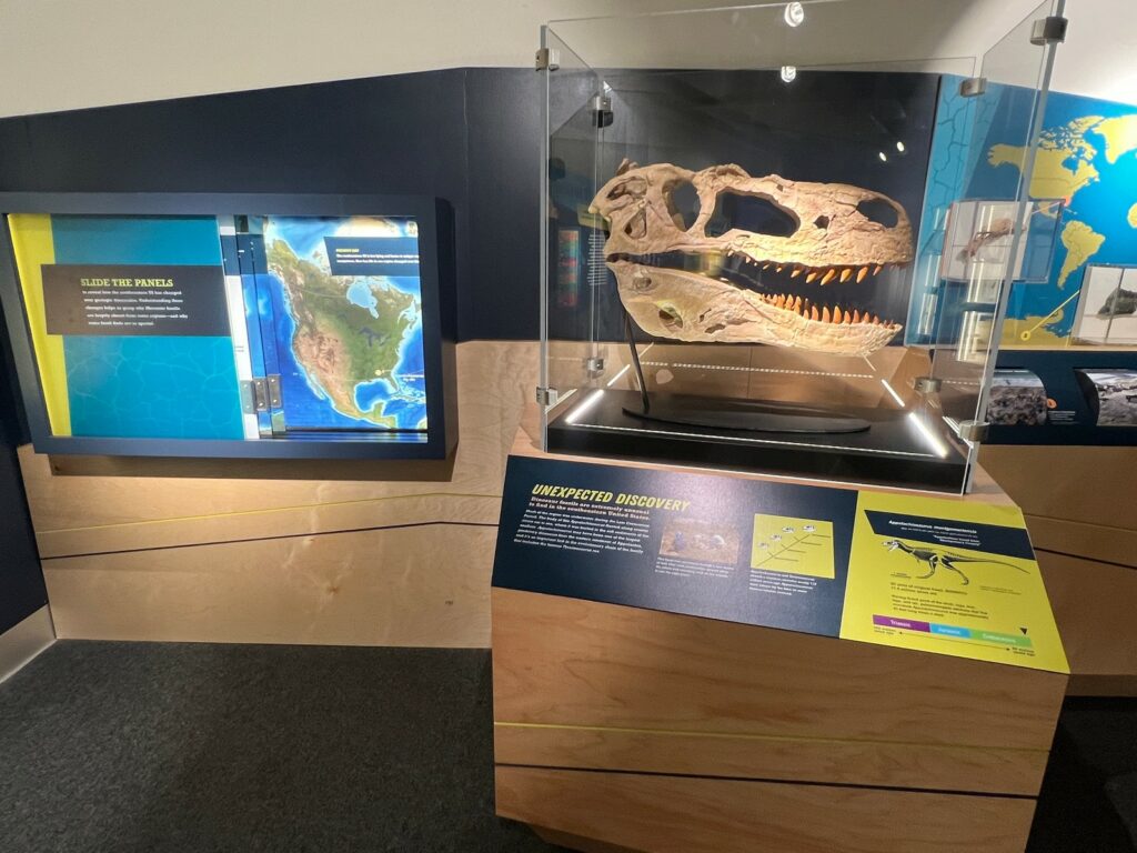 interactive dinosaur exhibit