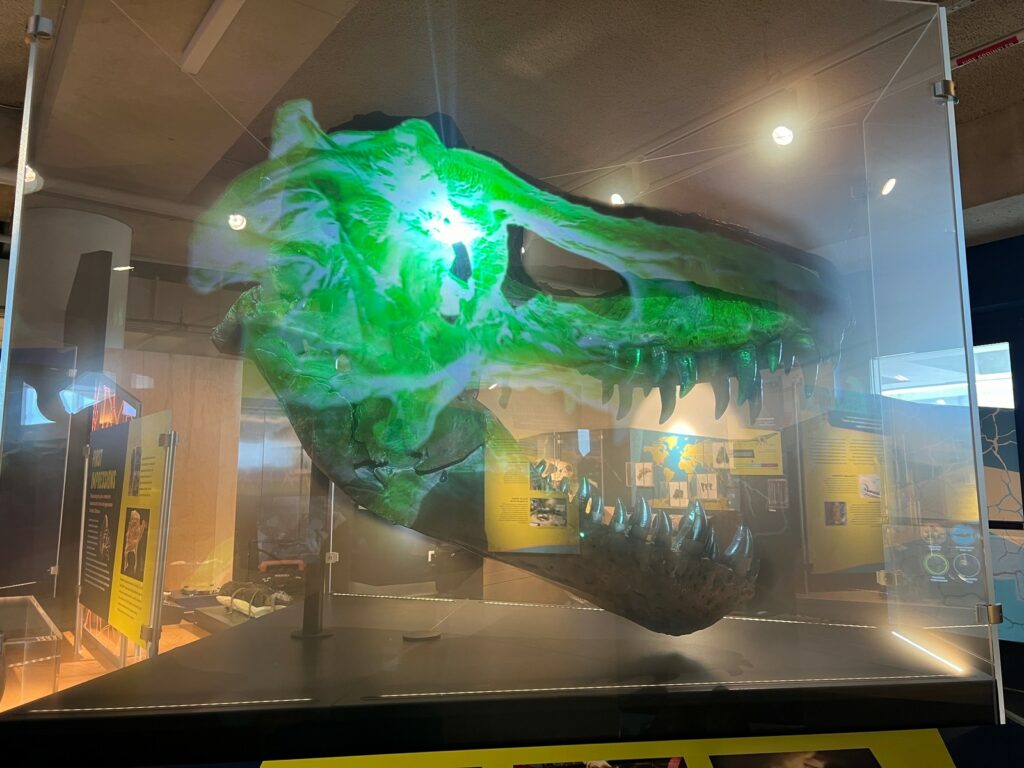 projection mapping dinosaur exhibit hologram fossil 